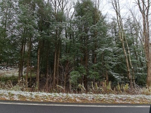 0 County Route 17a, Williamstown, NY 13493