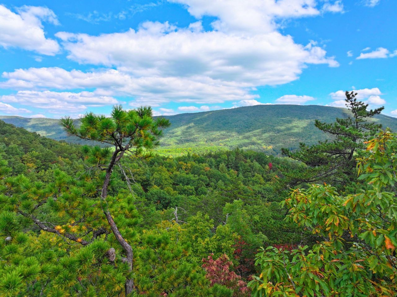 Tbd Dry Gulch Rd, Wytheville, VA 24382 Main Photo