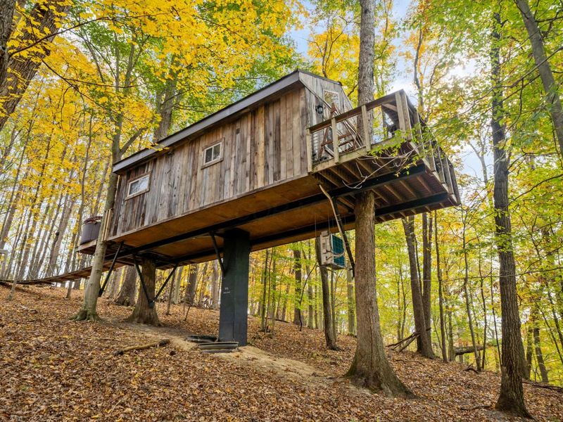 28132 Dupler, Rockbridge, OH 43149 Photo 102