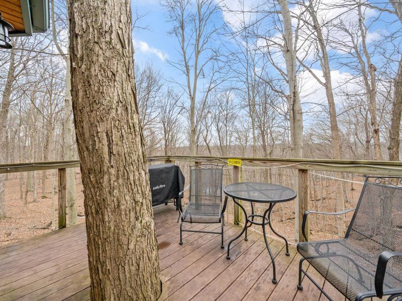 28132 Dupler, Rockbridge, OH 43149 Photo 121