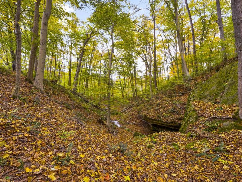 28132 Dupler, Rockbridge, OH 43149 Photo 125