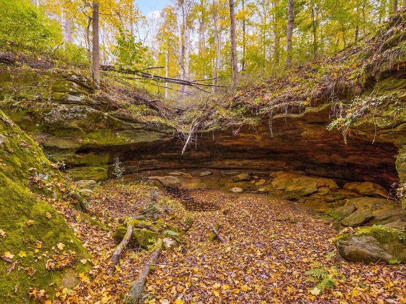 28132 Dupler, Rockbridge, OH 43149 Photo 126