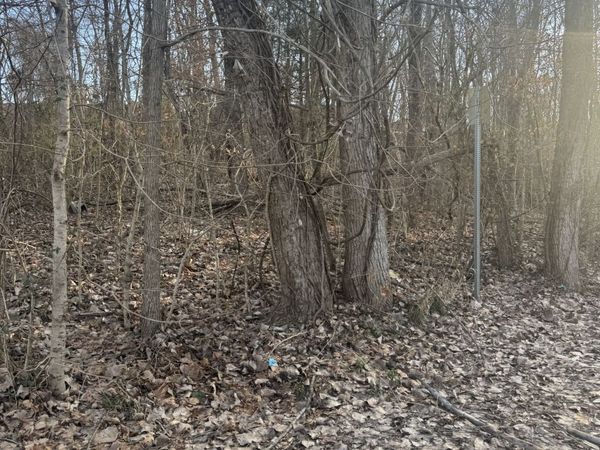 708 Peachers Dr, Clarksville, TN 37042