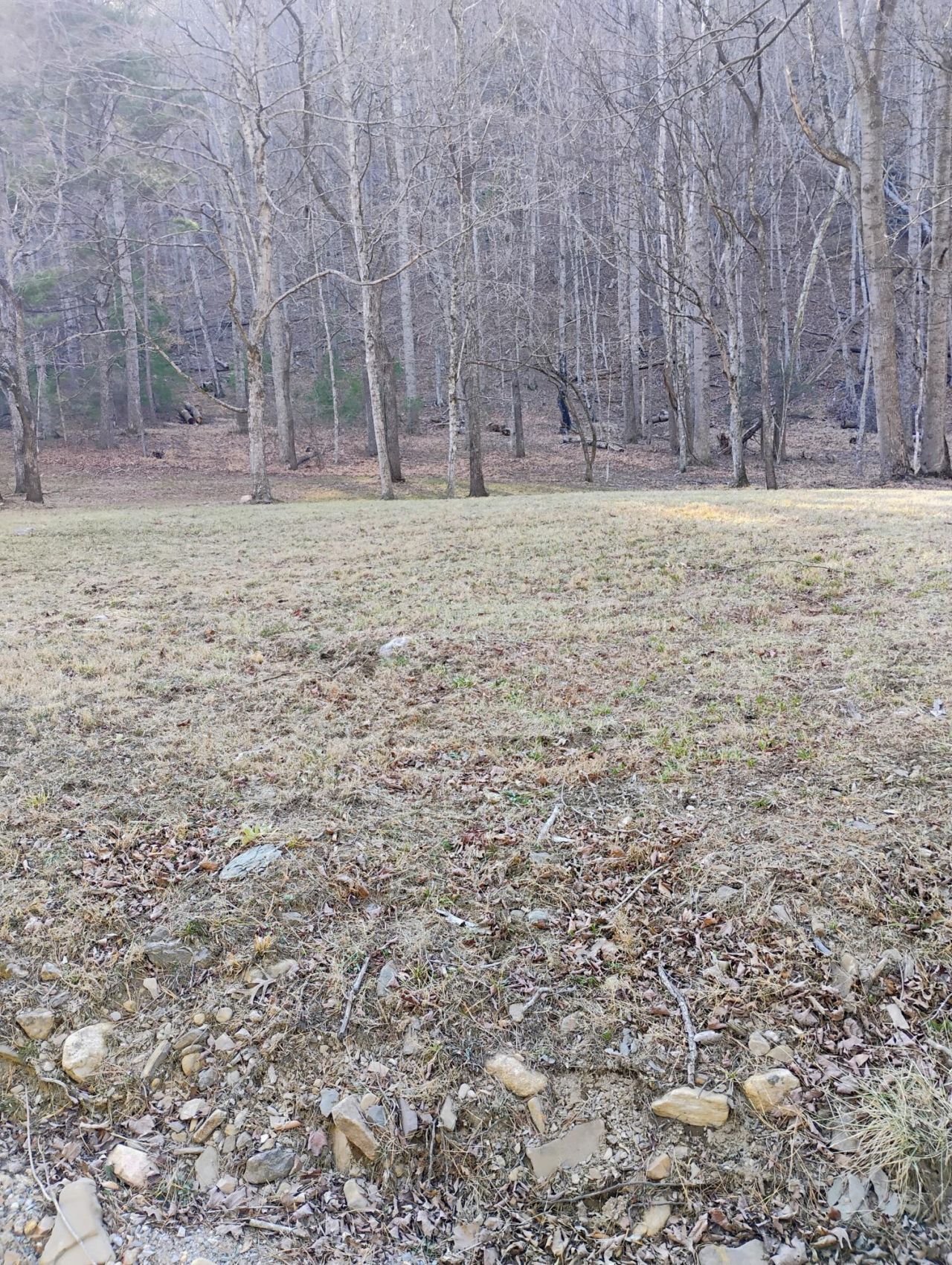 0 Miller Cove Rd, Catawba, VA 24070 Main Photo