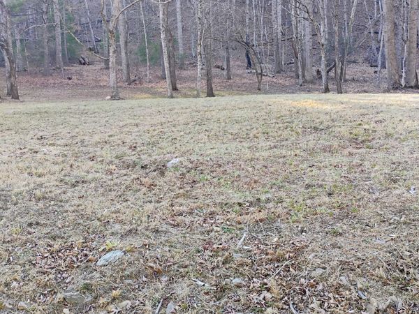 0 Miller Cove RD, Catawba, VA 24070