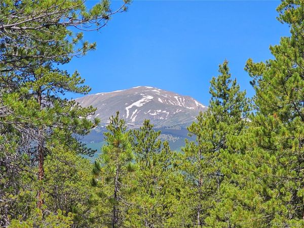 445 Mt Massive Drive, Twin Lakes, CO 81251