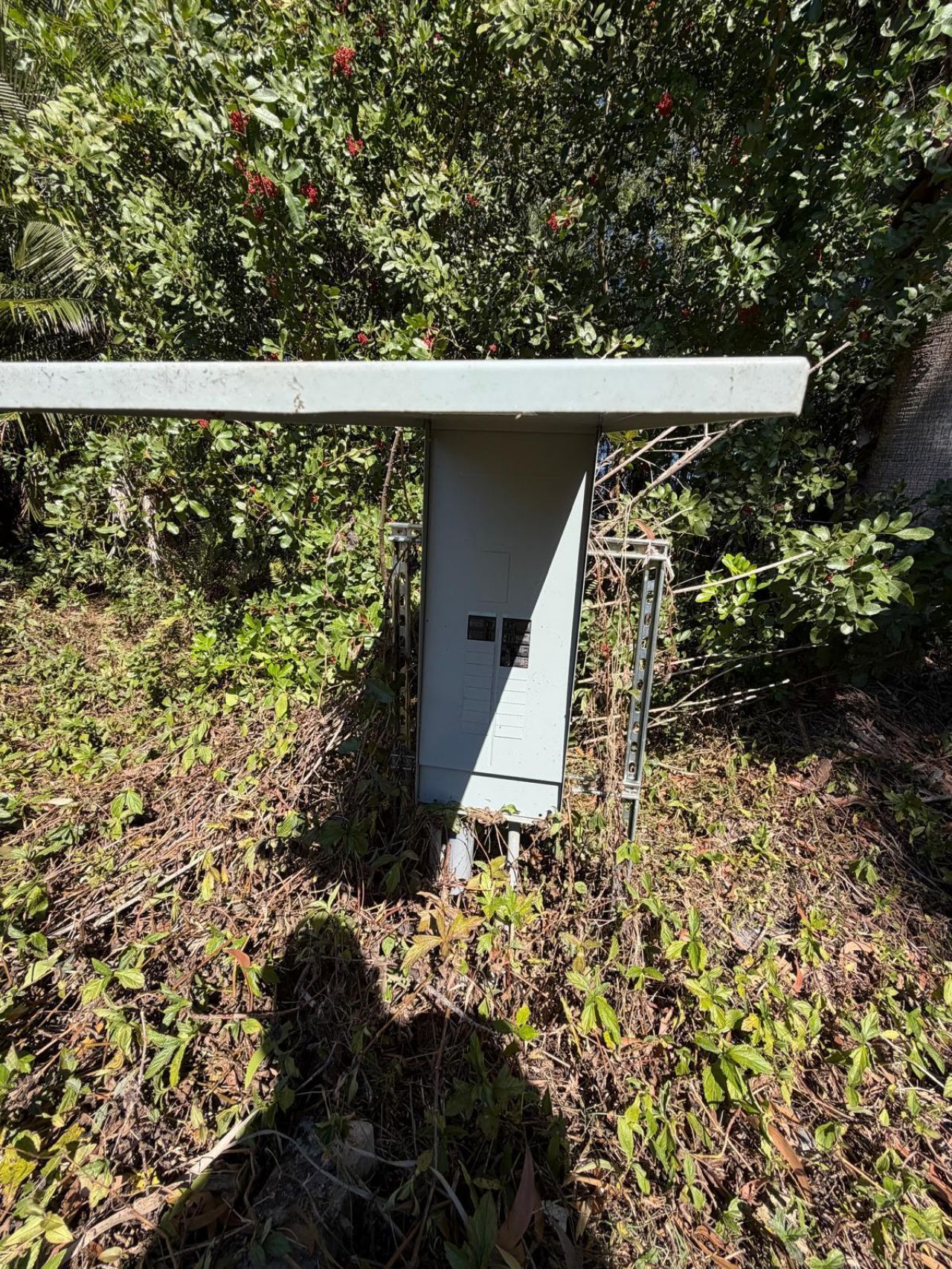 20199 Cole Lane, The Acreage, FL 33470 Photo
