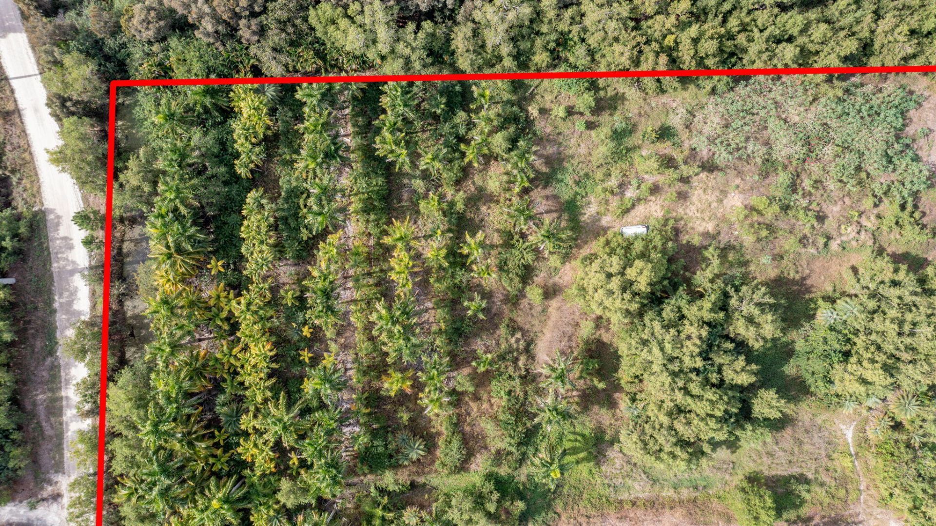 20199 Cole Lane, The Acreage, FL 33470 Photo