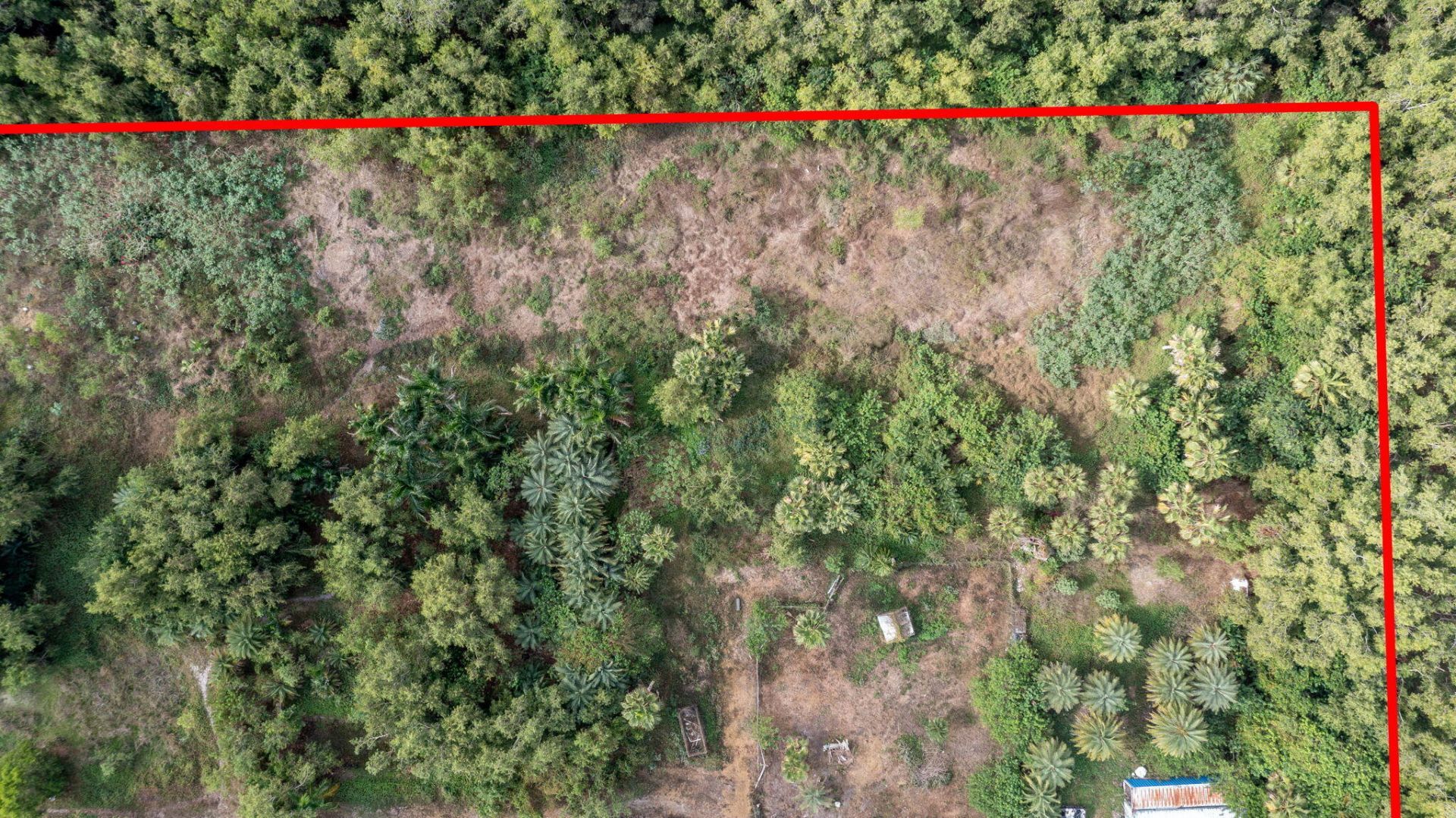 20199 Cole Lane, The Acreage, FL 33470 Photo