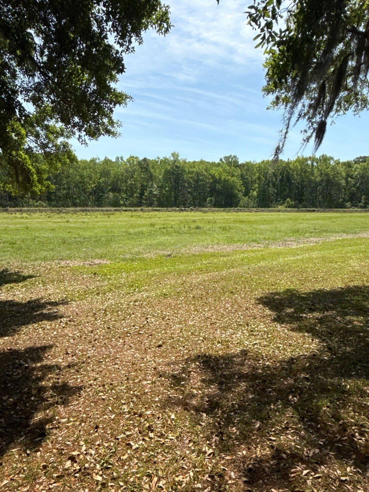 4347 Chisolm Road Photo 16