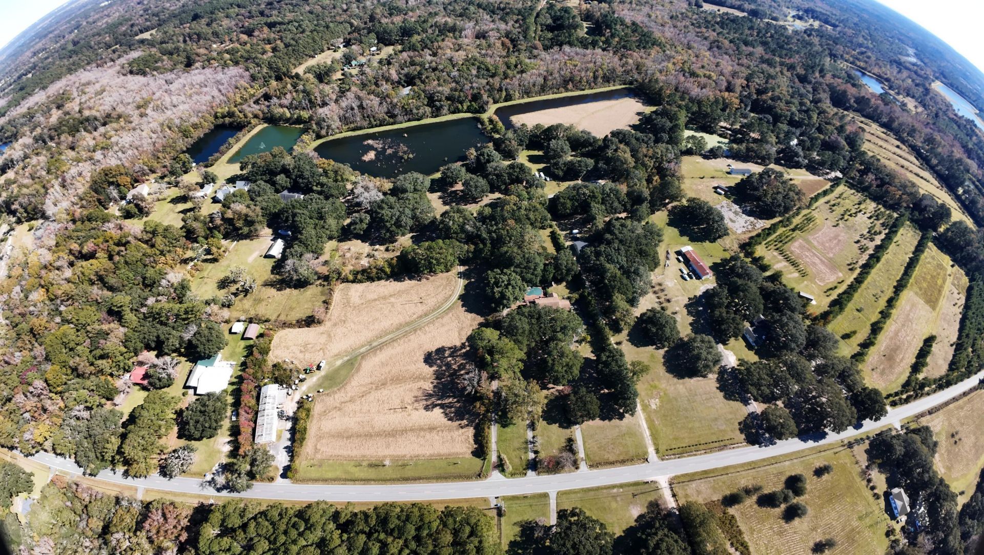 4347 Chisolm Road Photo 18