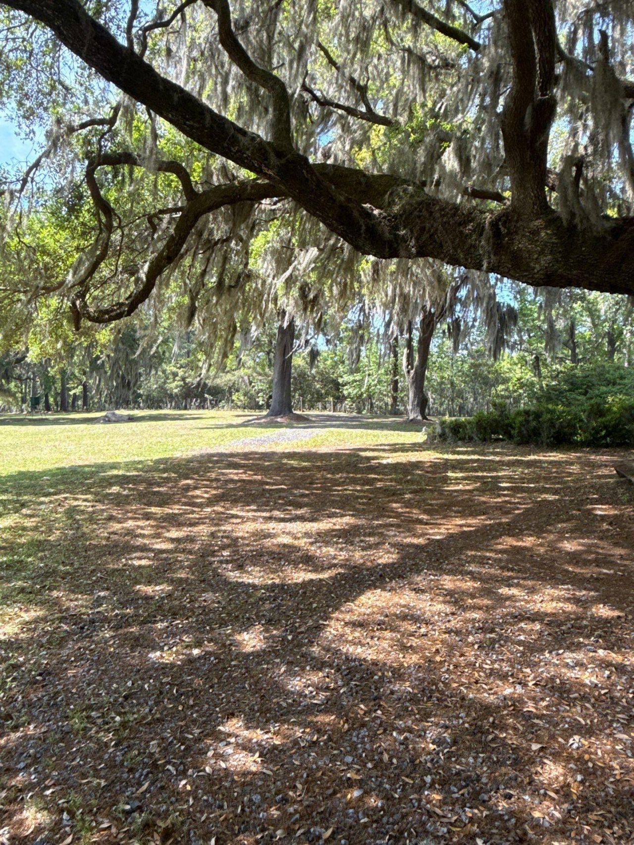 4347 Chisolm Road Photo 18