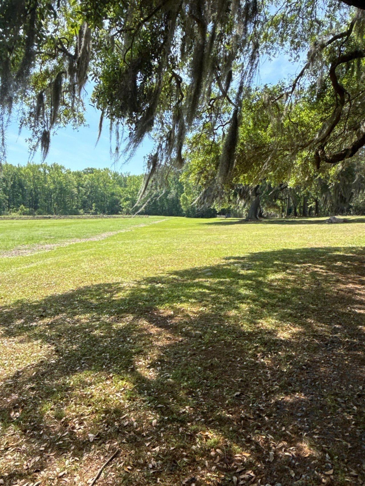4347 Chisolm Road Photo 23