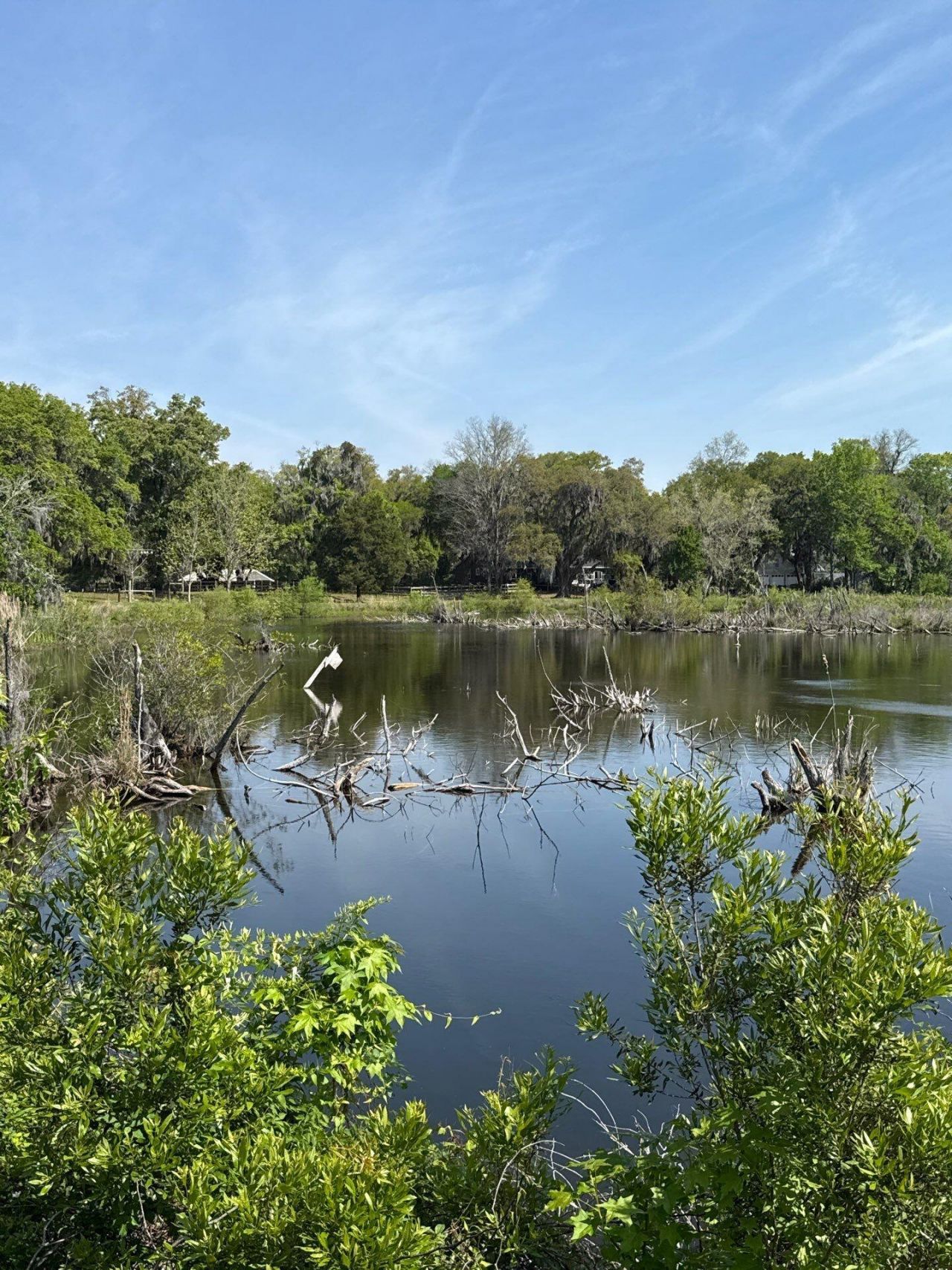 4347 Chisolm Road Photo 26