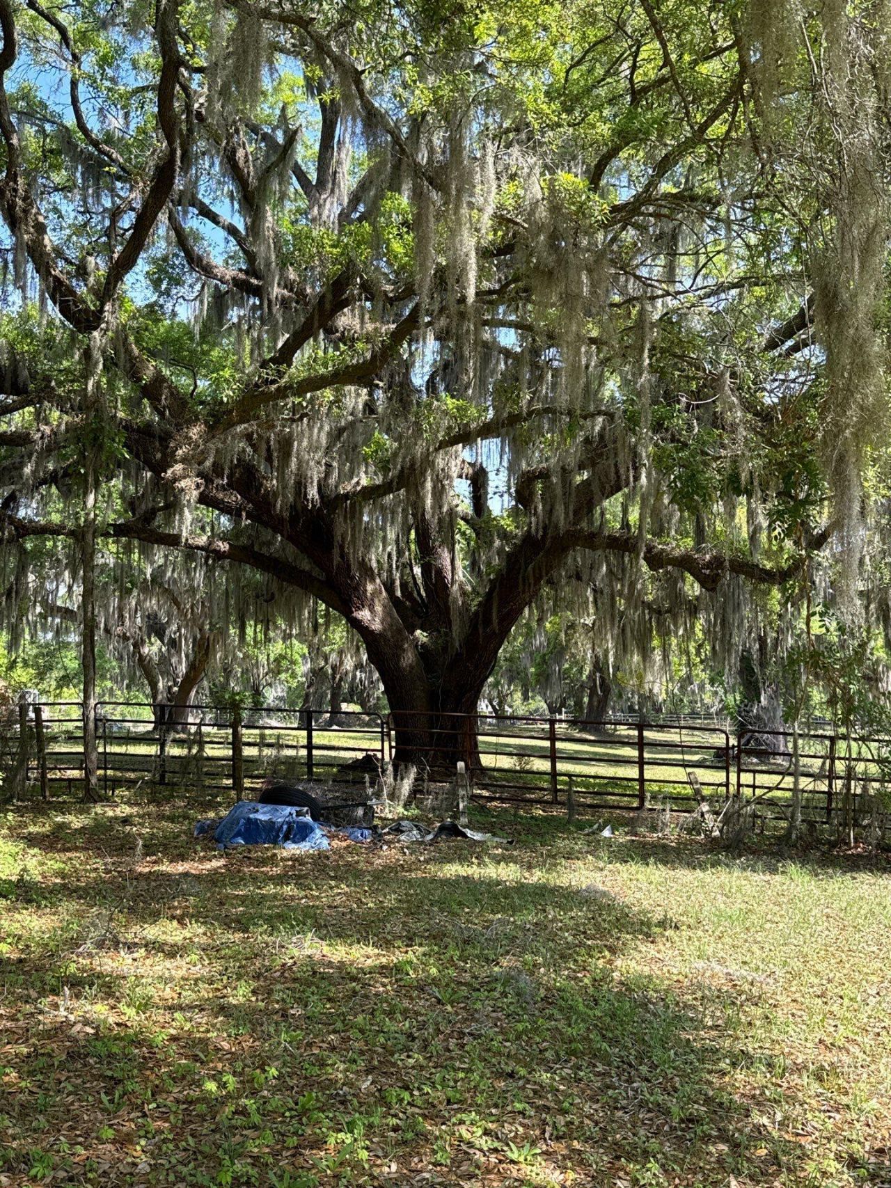 4347 Chisolm Road Photo 30