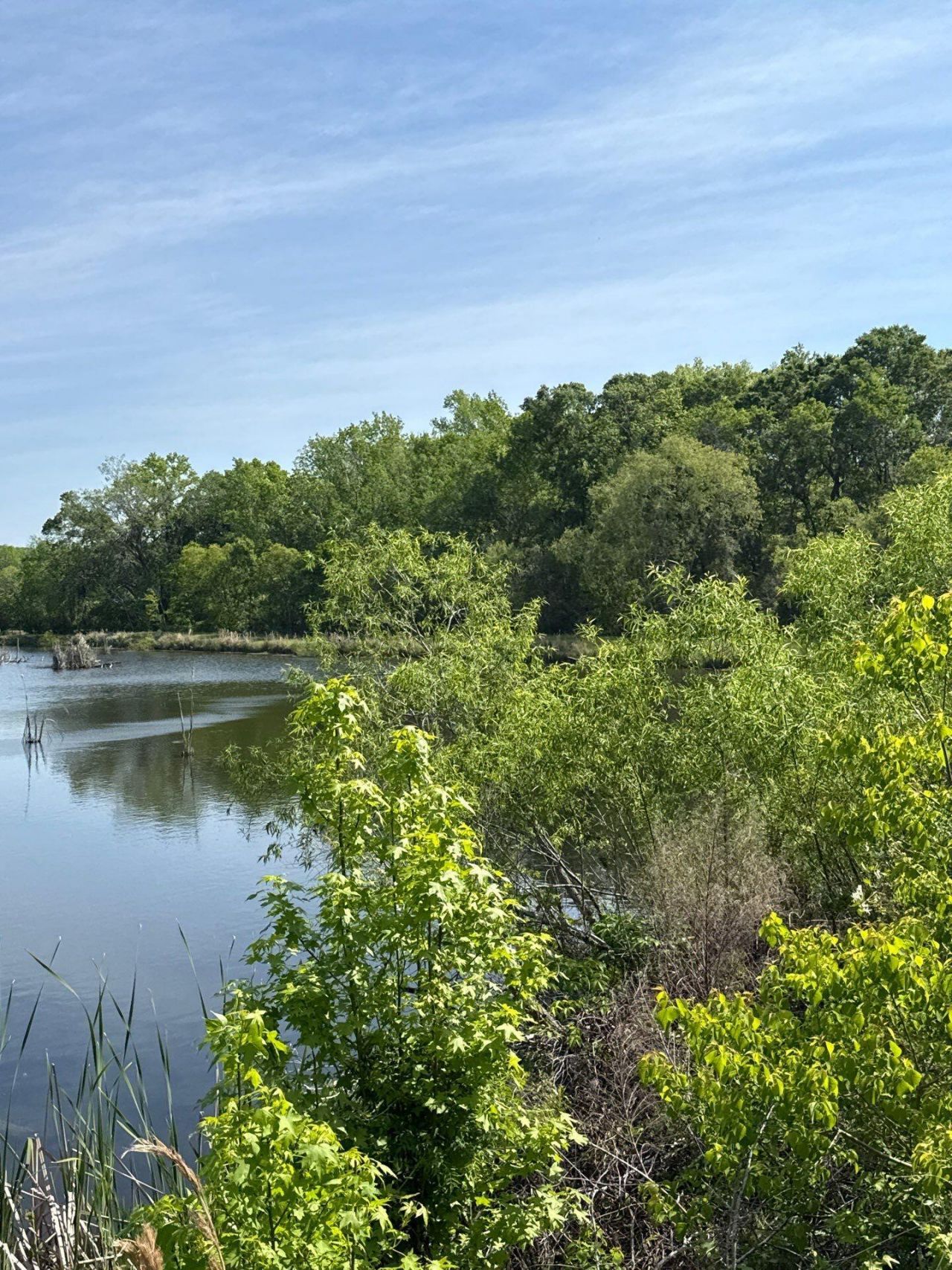 4347 Chisolm Road Photo 31