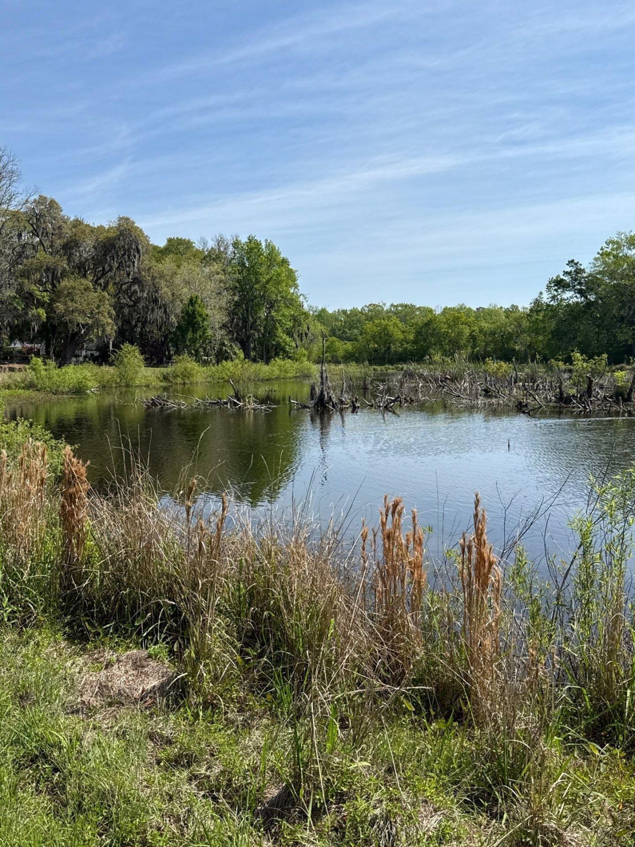 4347 Chisolm Road Photo 32