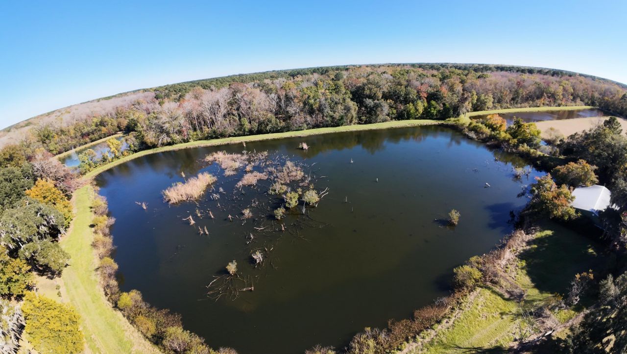 4347 Chisolm Road Photo 5