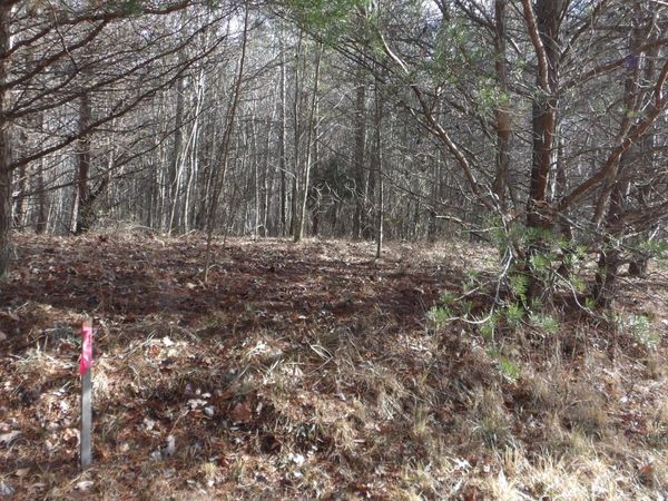 Lot 185 Meadow Lane, Spencer, TN 38585