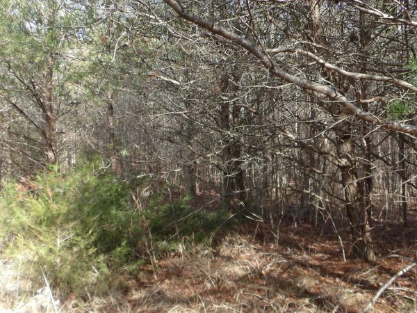 Lot 185 Meadow Lane, Spencer, TN 38585