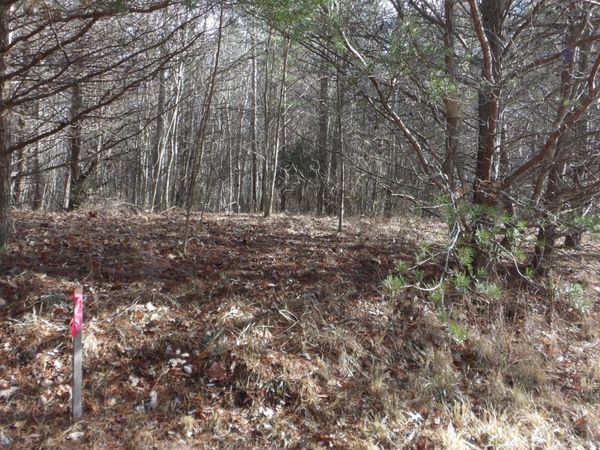 0 Meadow Lane , Spencer, TN 38585