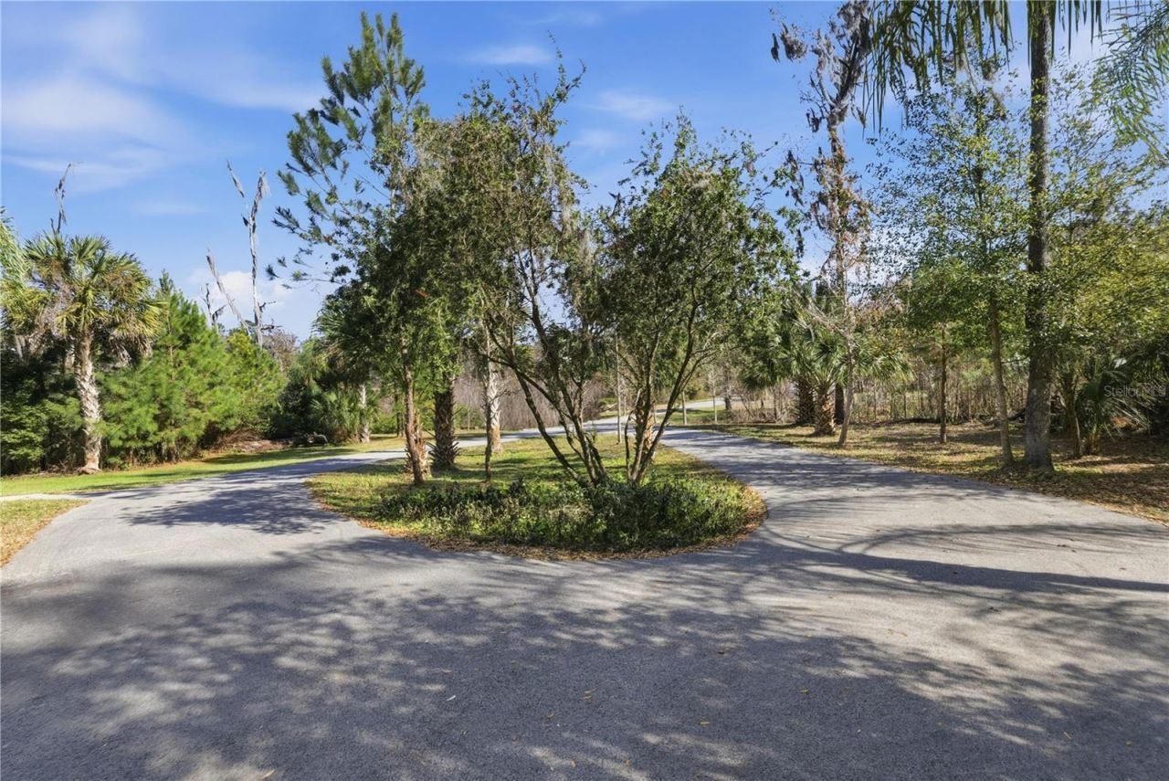 19040 NW 88th Avenue Road, Reddick, FL 32686 Photo