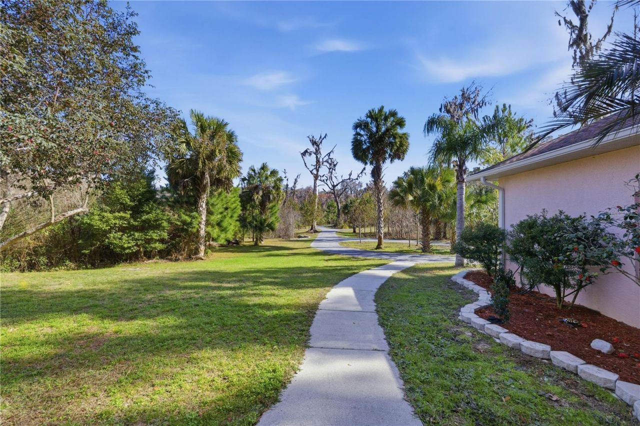 19040 NW 88th Avenue Road, Reddick, FL 32686 Photo