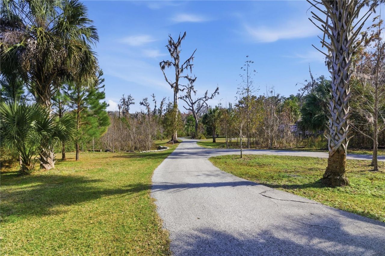 19040 NW 88th Avenue Road, Reddick, FL 32686 Photo