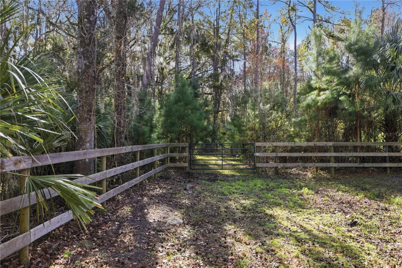19040 NW 88th Avenue Road, Reddick, FL 32686 Photo