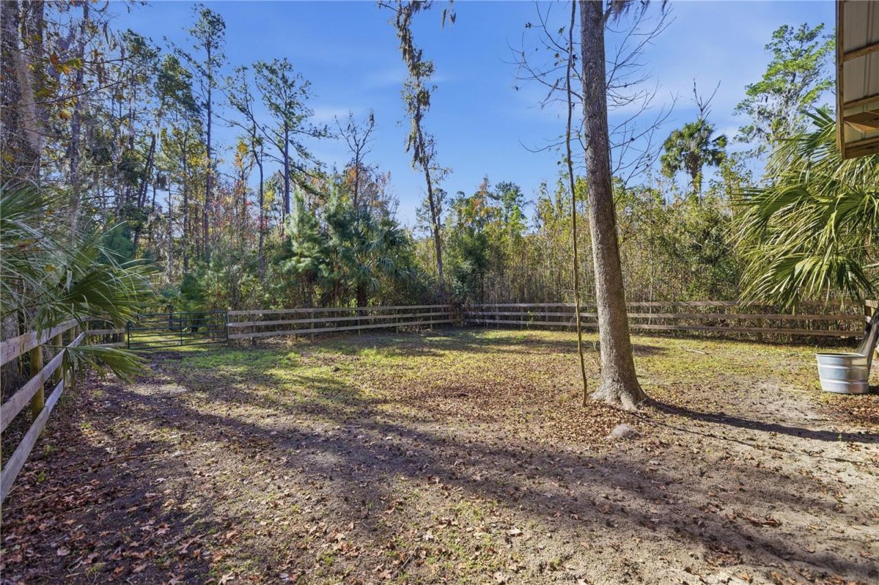 19040 NW 88th Avenue Road, Reddick, FL 32686 Photo