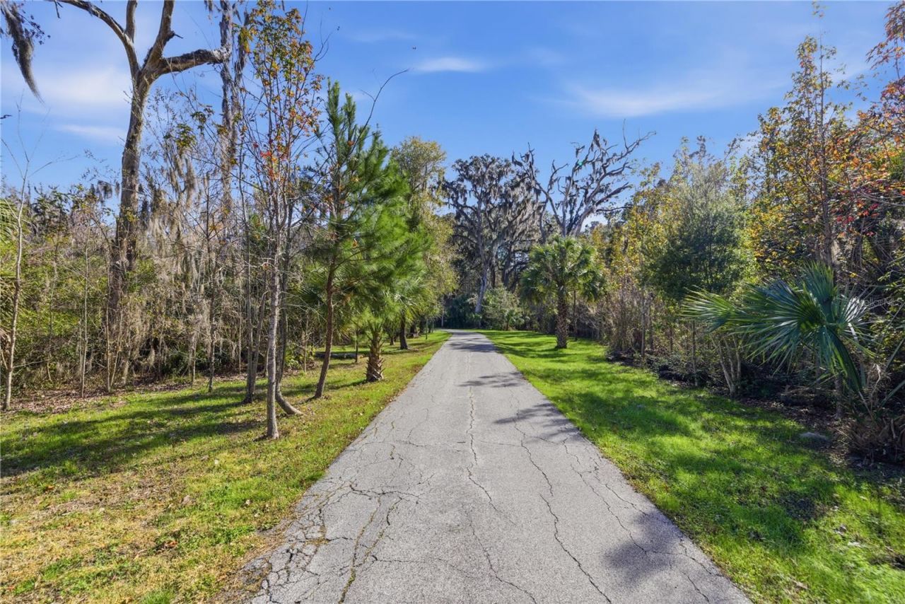 19040 NW 88th Avenue Road, Reddick, FL 32686 Photo
