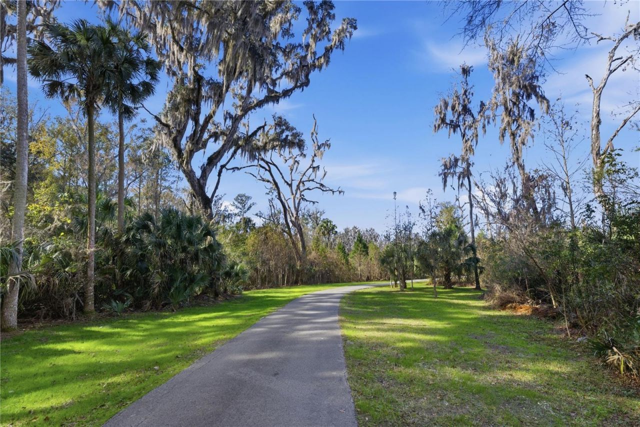 19040 NW 88th Avenue Road, Reddick, FL 32686 Photo