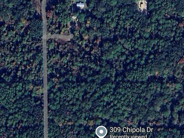 309 Chipola Dr, Georgetown, FL 32139