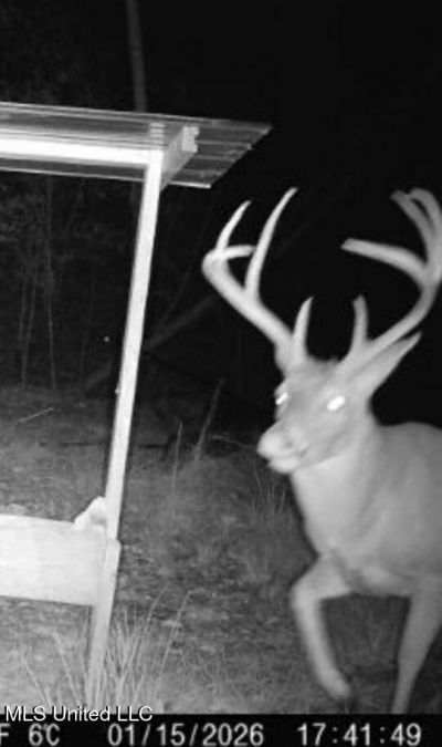 Sturgis Road, Louisville, MS 39339 Main Photo