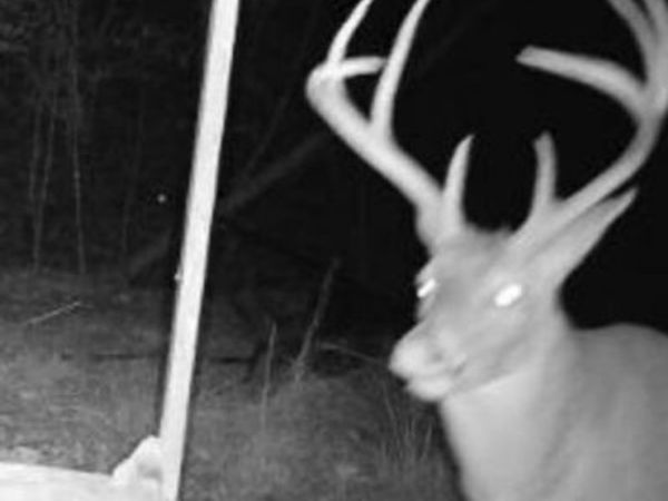 Sturgis Road, Louisville, MS 39339