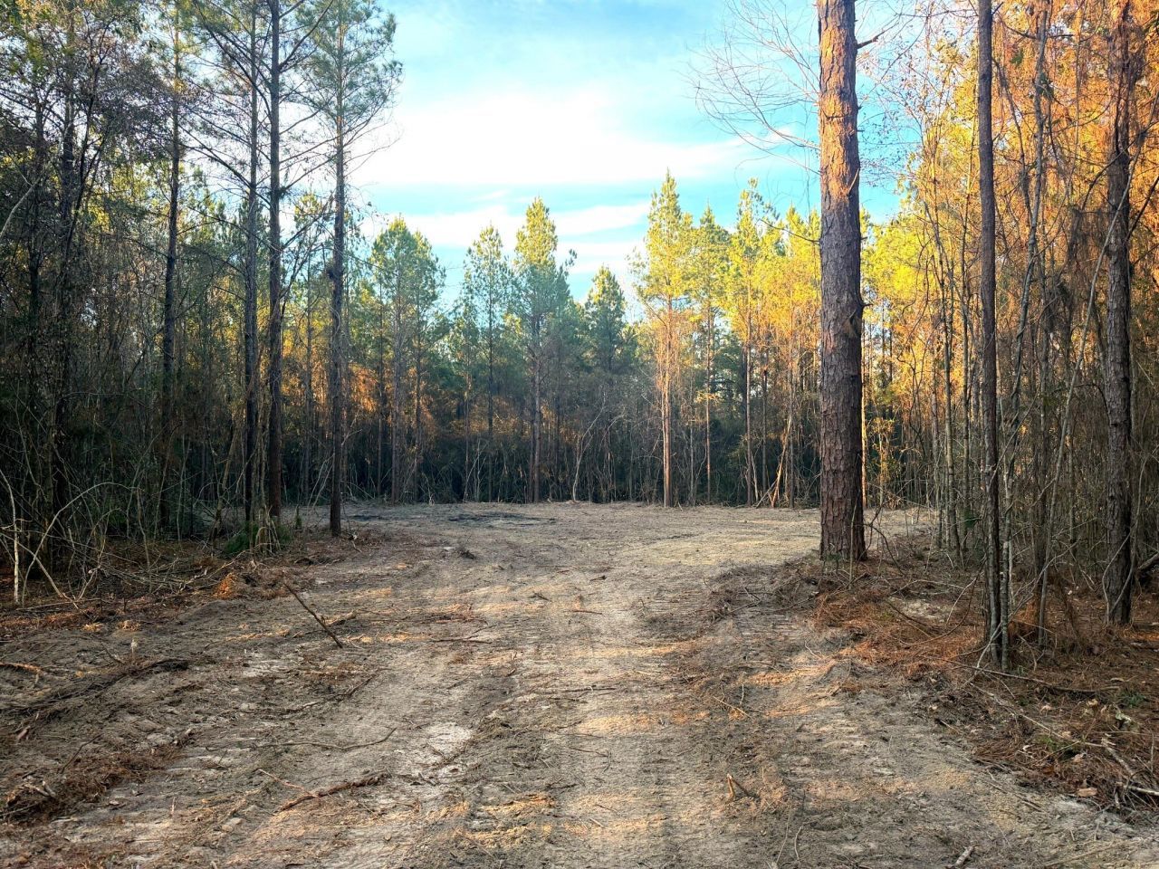 20 Acres Springhill Rd., Poplarville, MS 39470 Main Photo