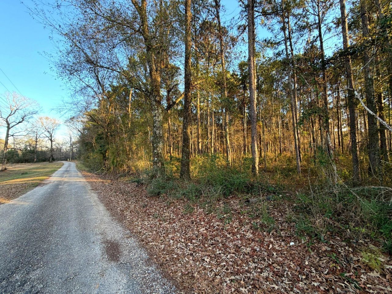 23 Acres Evans Rd., Poplarville, MS 39470 Main Photo