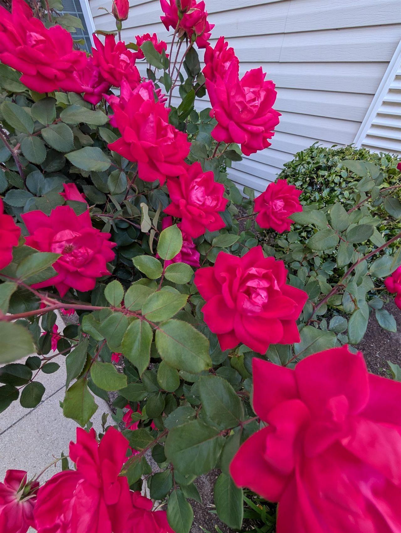 1100 Commons Blvd. Photo 40