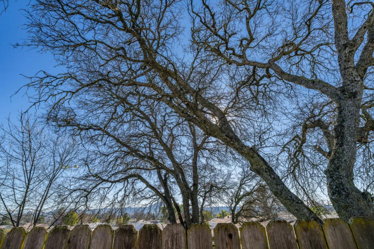 5594 Heritage Dr, Ione, CA 95640 Photo