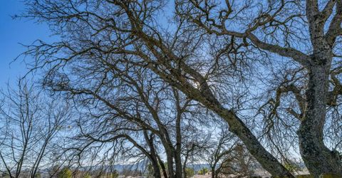 5594 Heritage Dr, Ione, CA 95640 Photo