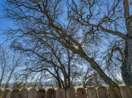 5594 Heritage Dr, Ione, CA 95640 Photo