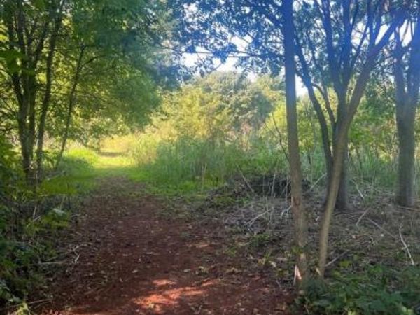 JAMES MADISON HIGHWAY, ORANGE, VA 22960