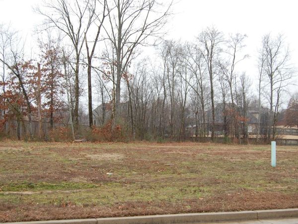 10267 GRAY HERON LN, Lakeland, TN 38002