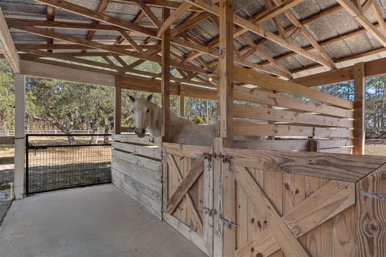 4210 W Horseshoe Drive, Beverly Hills, FL 34465 Photo