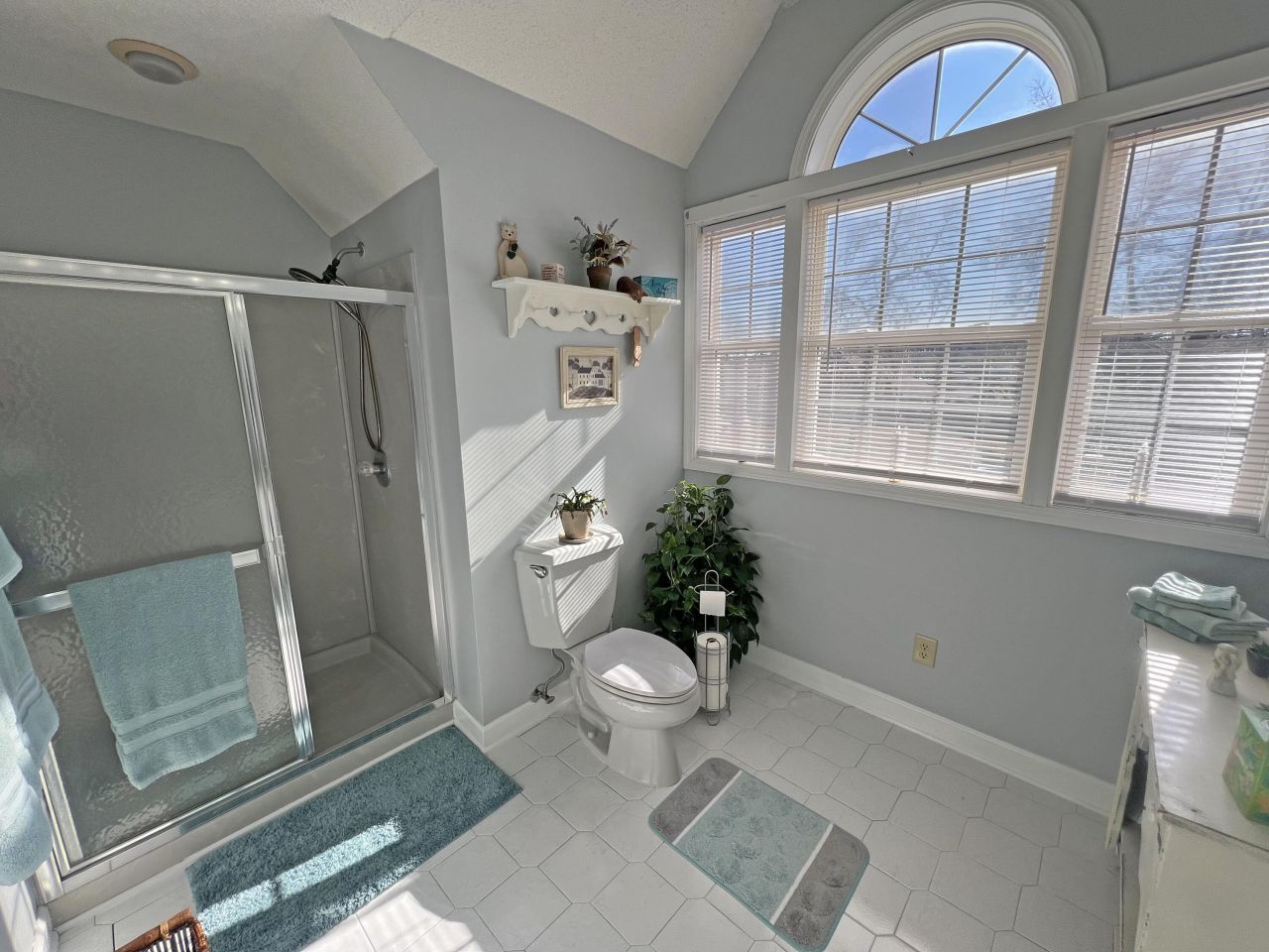 22 Ridge Lake Drive Photo 29