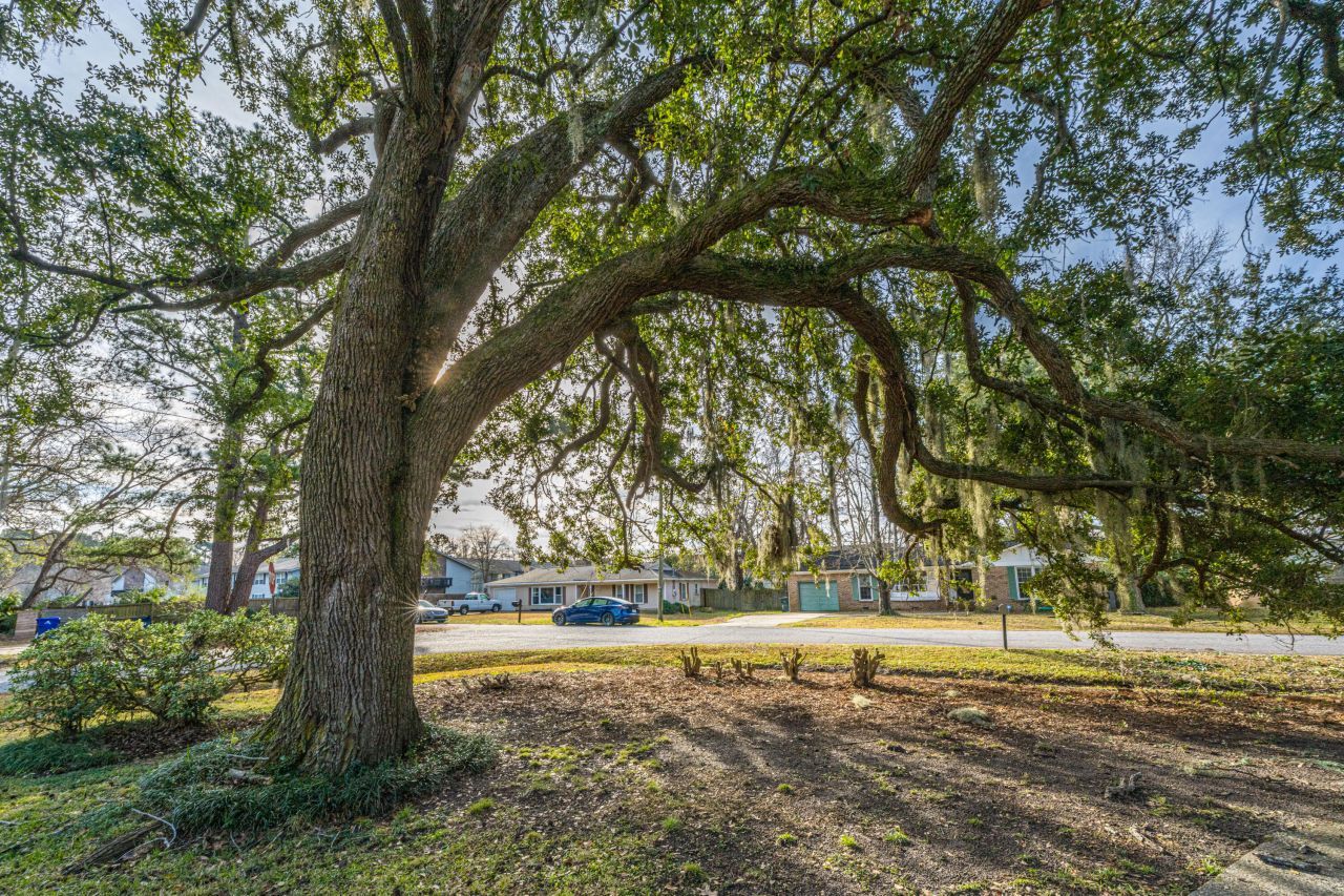 719 Swan Avenue Photo 50