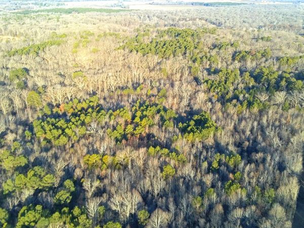 Vfw Rd, Grenada, MS 38901