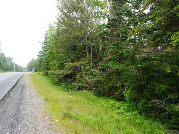 Lot 66 S River Road, Edmunds Twp, ME 04628