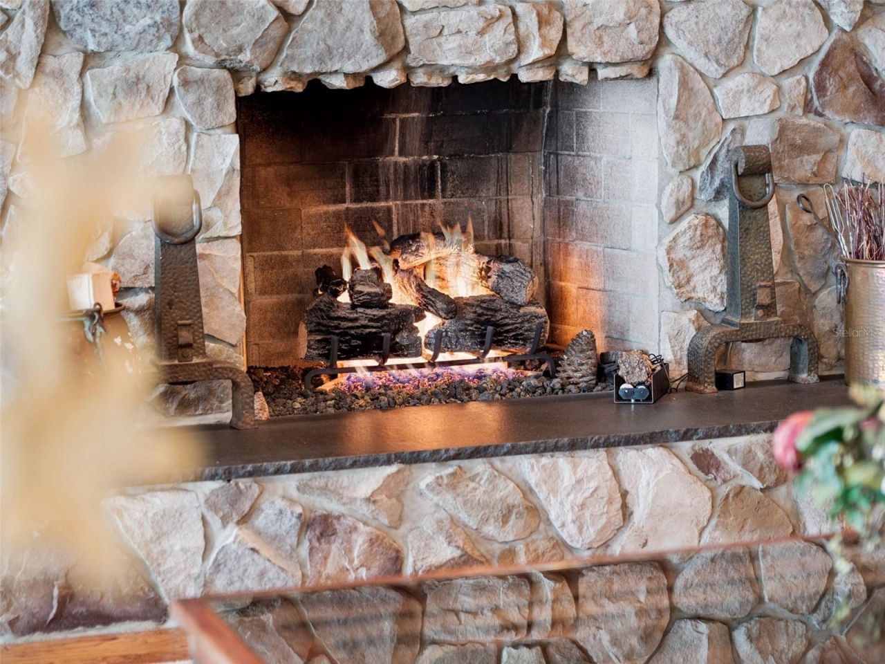 1490 Lakeshore Drive, Mount Dora, FL 32757 Photo