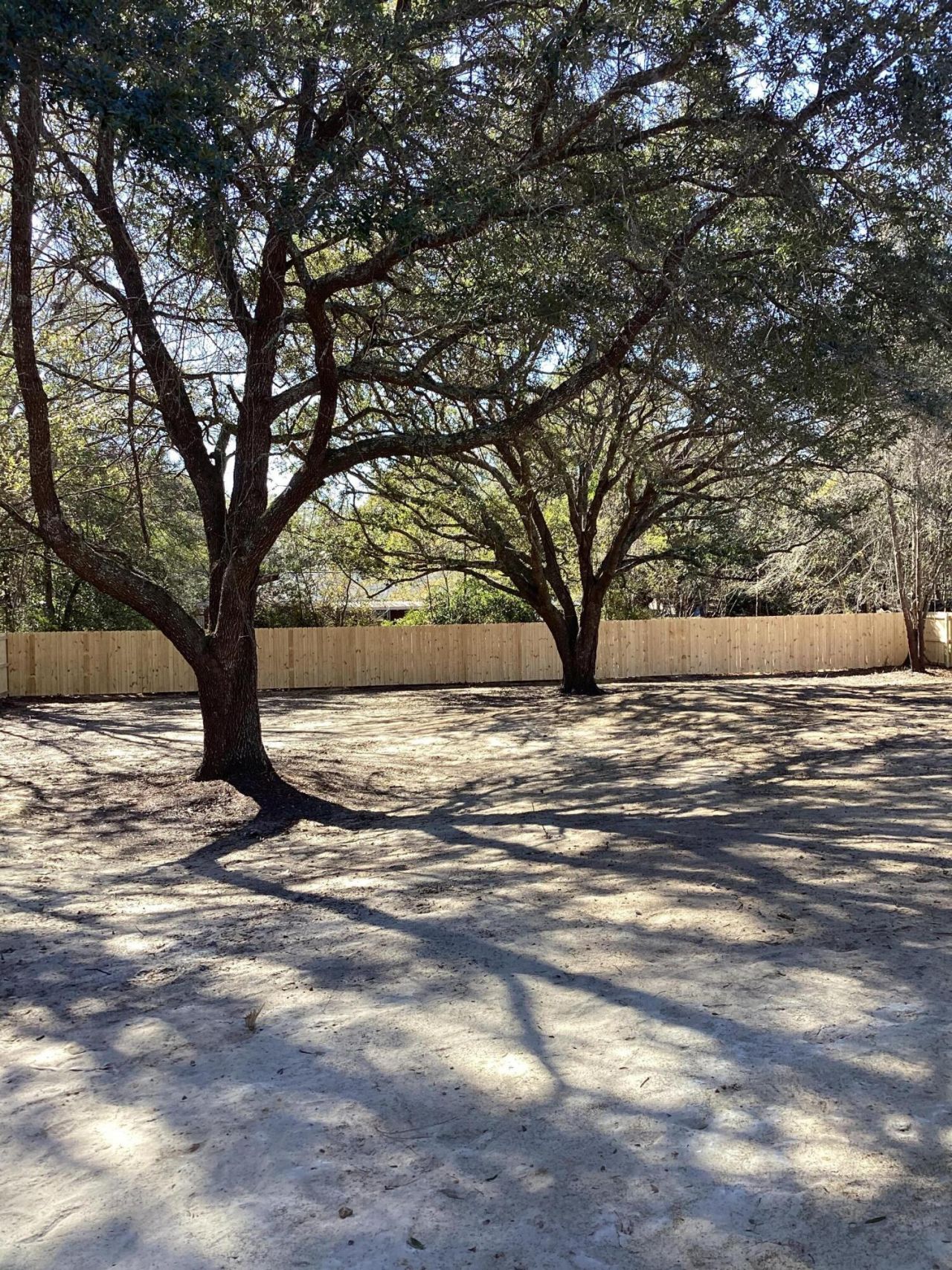 6239 Ballpark Road Photo 24